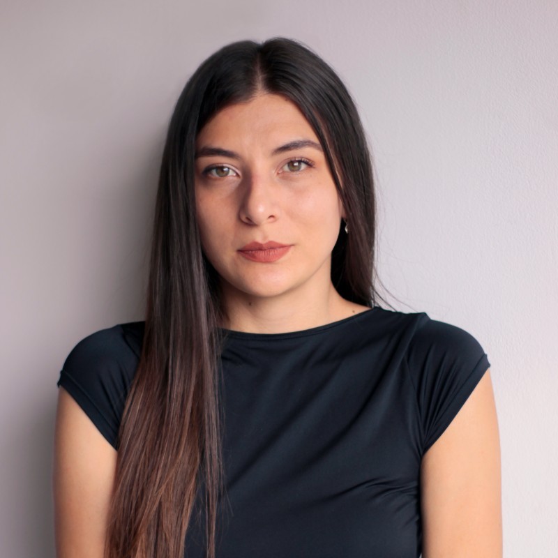 Erika Ramírez Castellanos